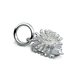 Hedgehog Silver Charm